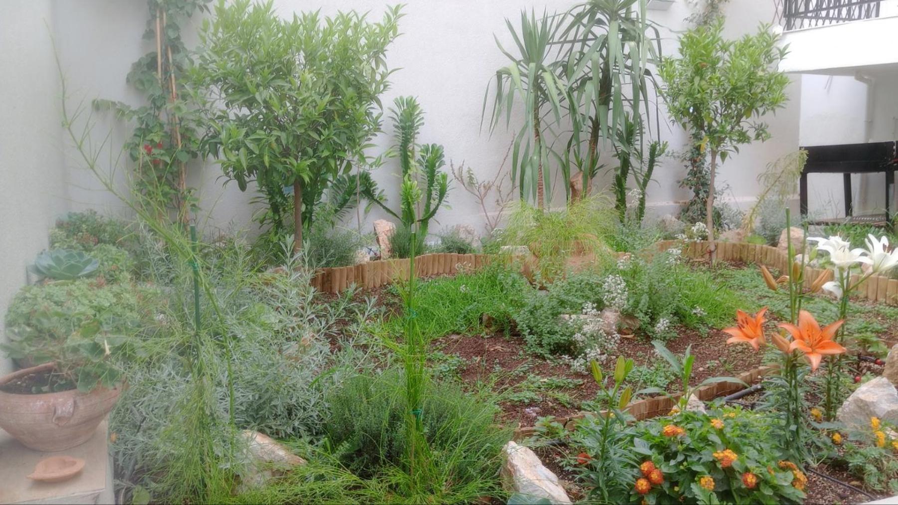 Annag Apart And Zitahouse Atenas Exterior foto